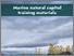 [thumbnail of seathevalue_training_materials-PML Publishing.pdf]